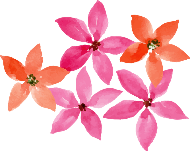 Vibrant orange and pink watercolor flowers.